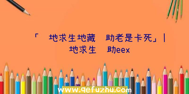 「绝地求生地藏辅助老是卡死」|绝地求生辅助eex